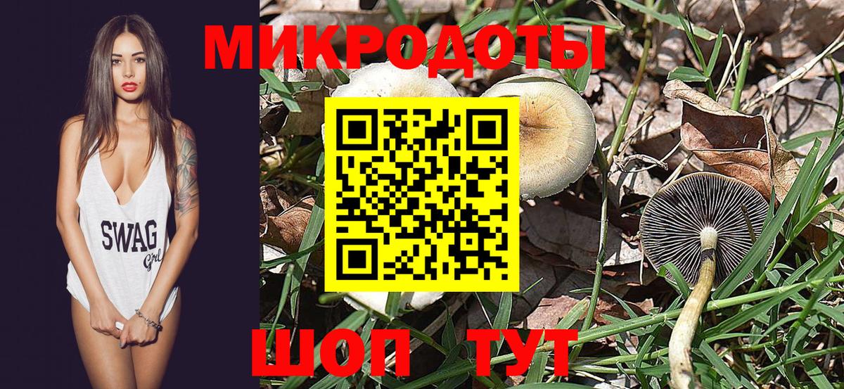 Галлюциногенные грибы GOLDEN TEACHER  где продают наркотики  Галлюциногенные грибы GOLDEN TEACHER  Муром  Вход с VPN 